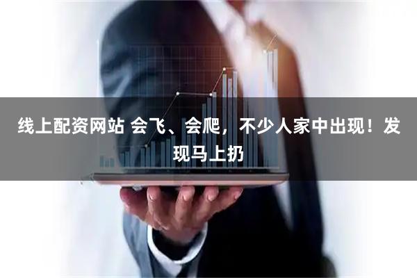 线上配资网站 会飞、会爬，不少人家中出现！发现马上扔